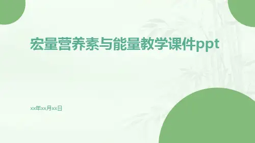 宏量营养素与能量教学课件ppt