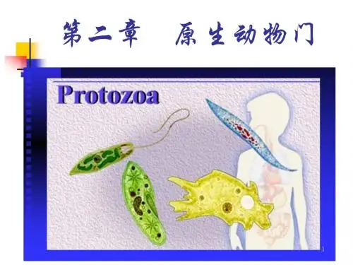 第二章 原生动物门