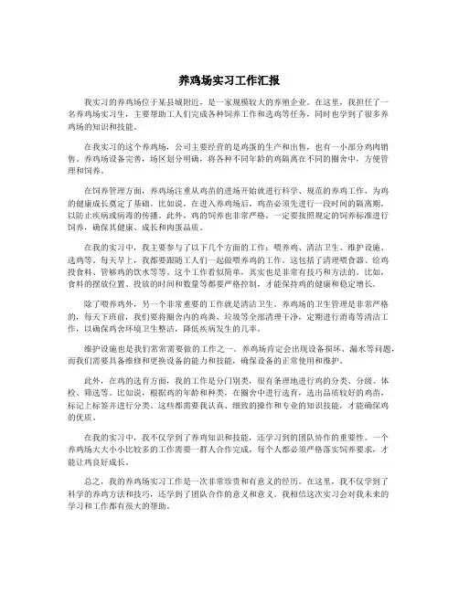 养鸡场实习工作汇报