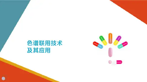 药物常见定量分析方法 色谱联用技术简介 (药物分析课件)