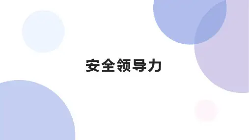 安全领导力