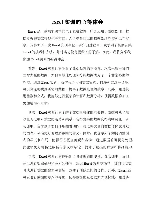 excel实训的心得体会