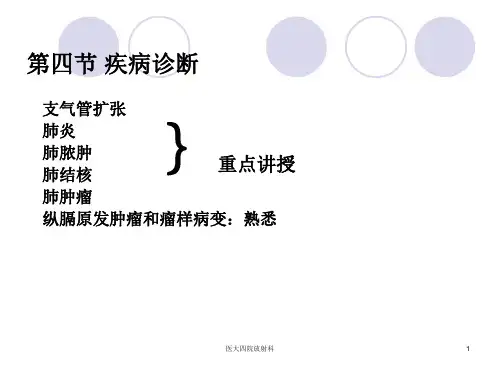 影像 呼吸系统2 (2)