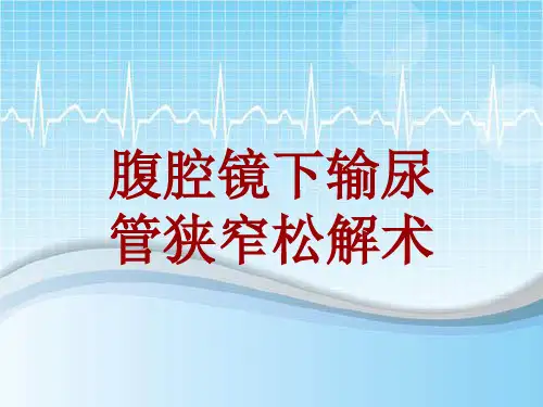 手术讲解模板：腹腔镜下输尿管狭窄松解术