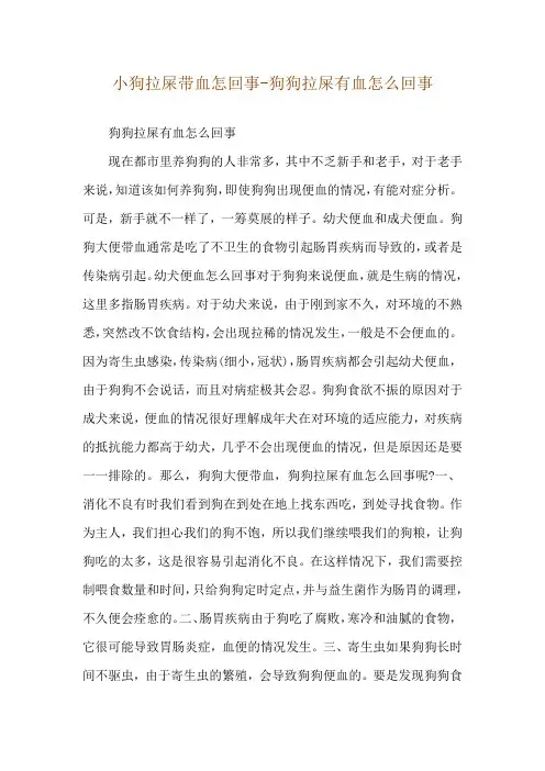 小狗拉屎带血怎回事-狗狗拉屎有血怎么回事