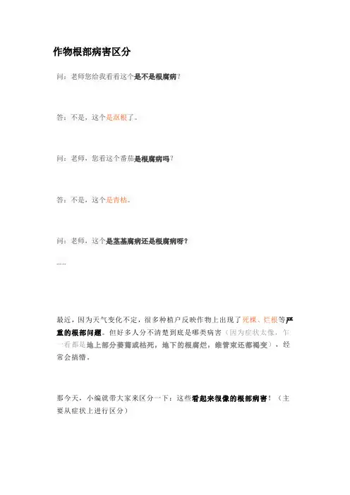 作物根部病害区分