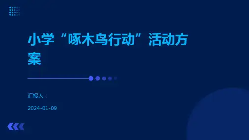 小学“啄木鸟行动”活动方案