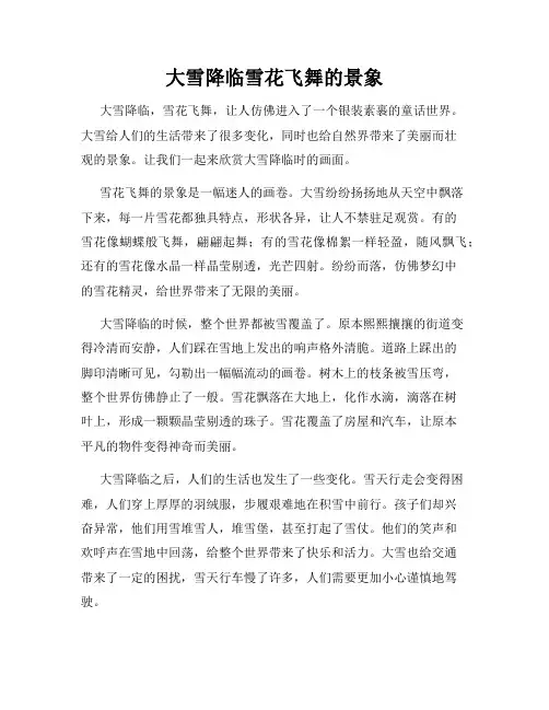 大雪降临雪花飞舞的景象