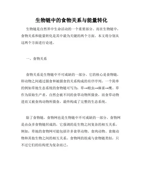 生物链中的食物关系与能量转化