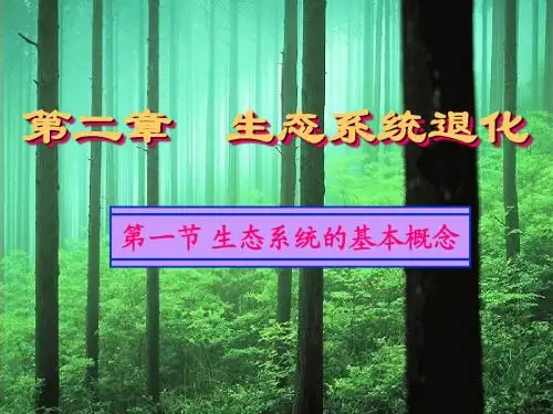 生态系统