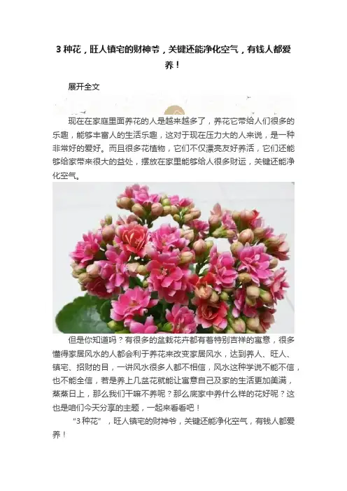 3种花，旺人镇宅的财神爷，关键还能净化空气，有钱人都爱养！