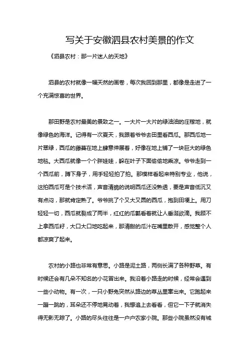 写关于安徽泗县农村美景的作文