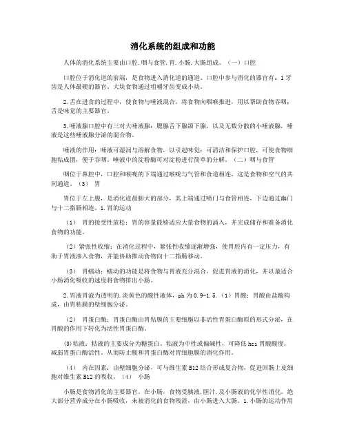 消化系统的组成和功能