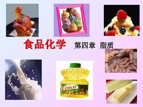食品化学Fat ppt课件