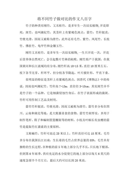 将不同竹子做对比的作文八百字