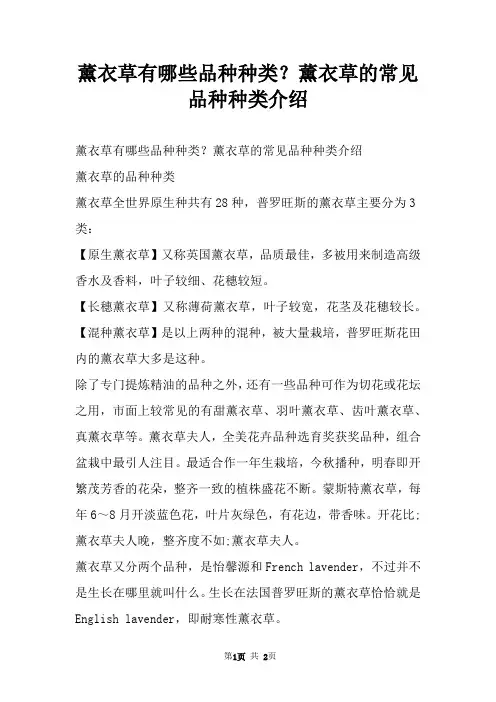 薰衣草有哪些品种种类？薰衣草的常见品种种类介绍