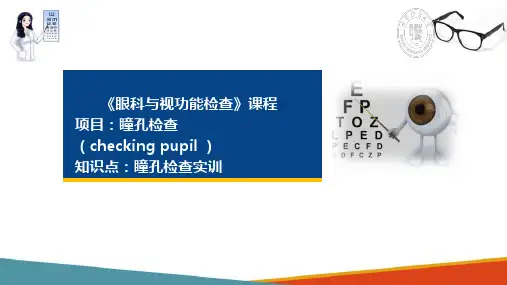 眼科检查 瞳孔检查 瞳孔检查