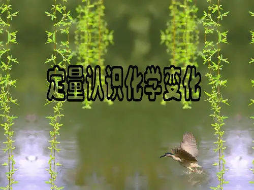 定量认识化学变化PPT课件(2)