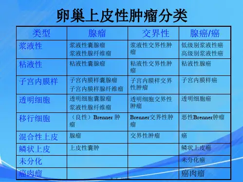 曹登峰-卵巢交界性肿瘤病理诊断