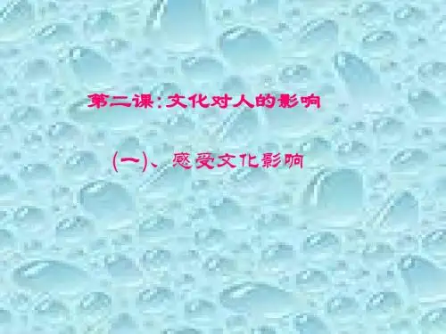 高二政治感受文化影响2