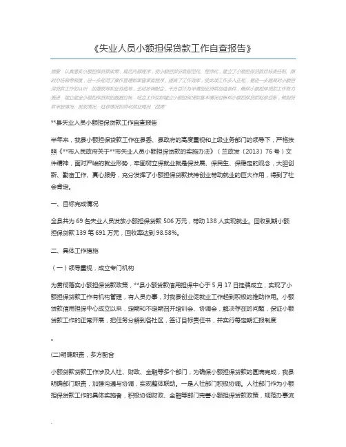 失业人员小额担保贷款工作自查报告