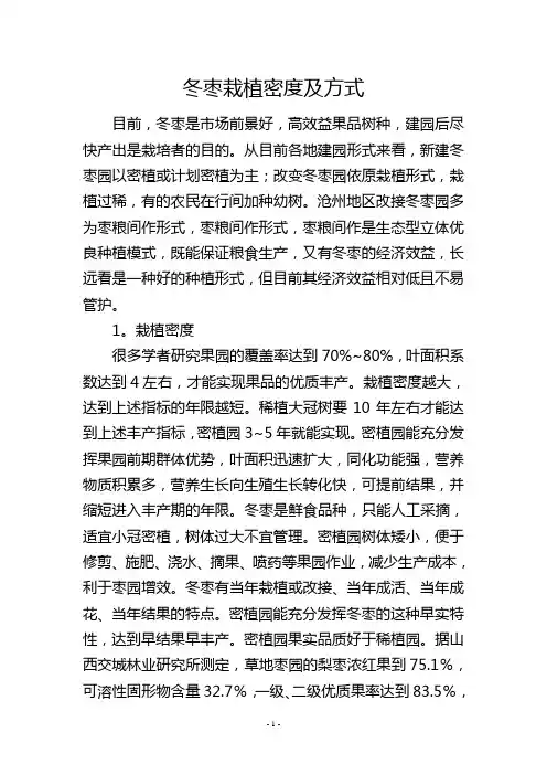 冬枣栽植密度及方式