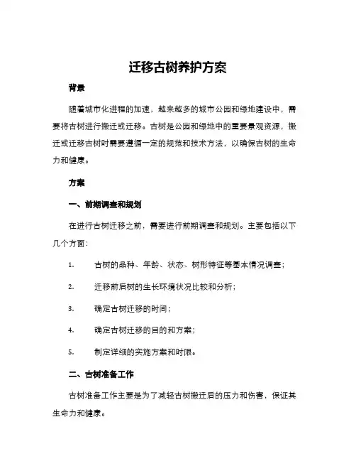 迁移古树养护方案