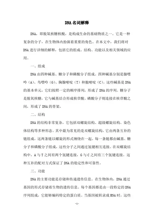 DNA名词解释