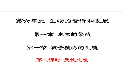 《被子植物的生殖(无性生殖)》PPT课件【精品】 冀少版八年级生物学