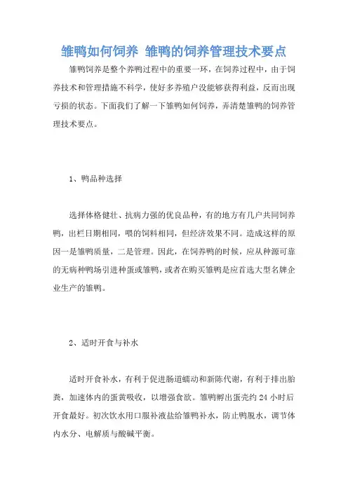 雏鸭如何饲养 雏鸭的饲养管理技术要点