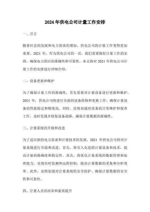 2024年供电公司计量工作安排