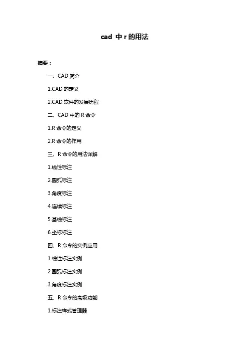 cad 中r的用法
