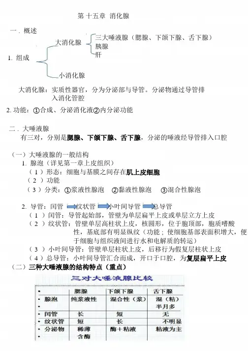 组织学与胚胎学复习资料：消化腺(1)