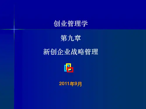 第九章 新创企业战略管理