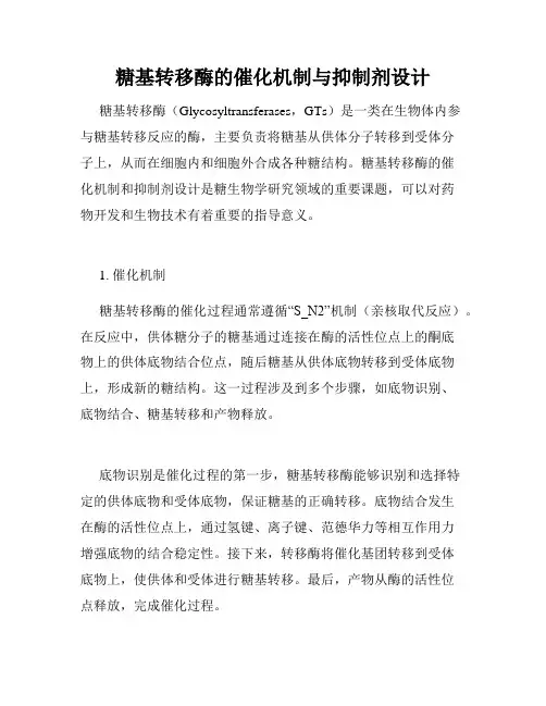 糖基转移酶的催化机制与抑制剂设计
