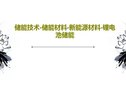 储能技术-储能材料-新能源材料-锂电池储能PPT文档共102页