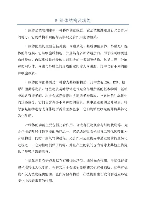 叶绿体结构及功能