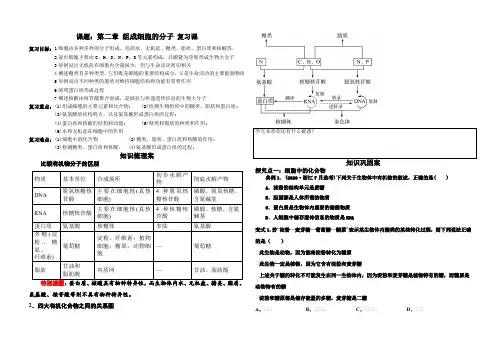 第二章组成细胞的分子复习学案高一上学期生物人教版必修1