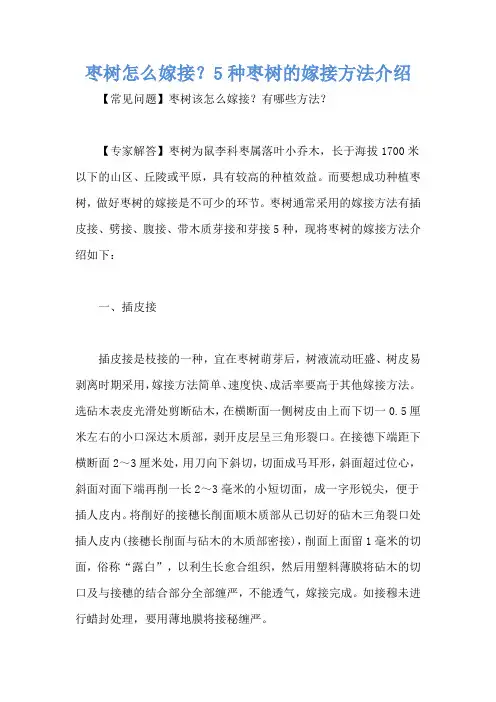 枣树怎么嫁接？5种枣树的嫁接方法介绍