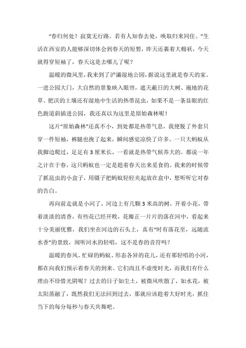 游浐灞公园作文四年级