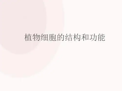 高中生物植物细胞的结构和功能PPT精选课件7 苏教版