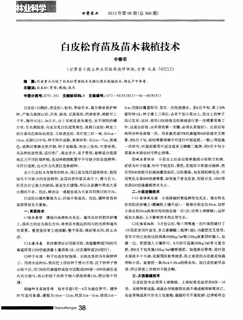 白皮松育苗及苗木栽植技术