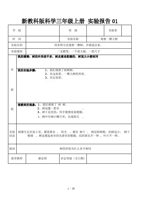 教科版三年级上册科学实验报告单