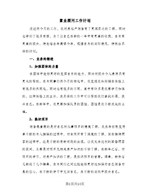 2024年置业顾问工作计划（6篇）