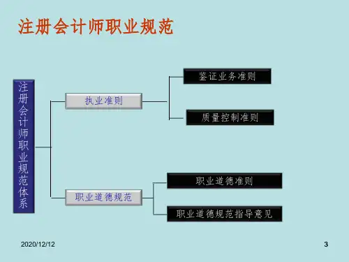 西南财经大学审计第二章审计规范PPT参考幻灯片