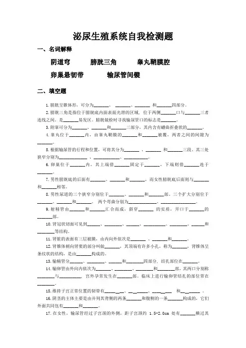 泌尿生殖系统自我检测题