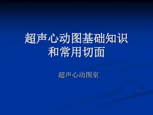 超声心动图基础知识和常用切面
