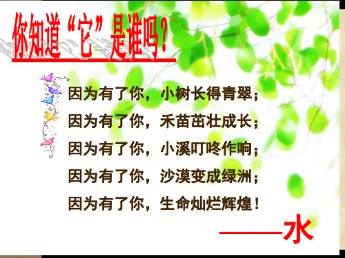 《吸收作用》北师大版省公开课获奖课件市赛课比赛一等奖课件