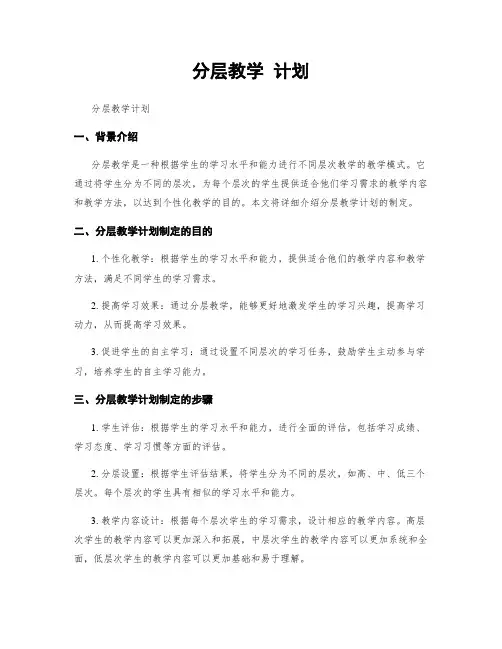 分层教学 计划