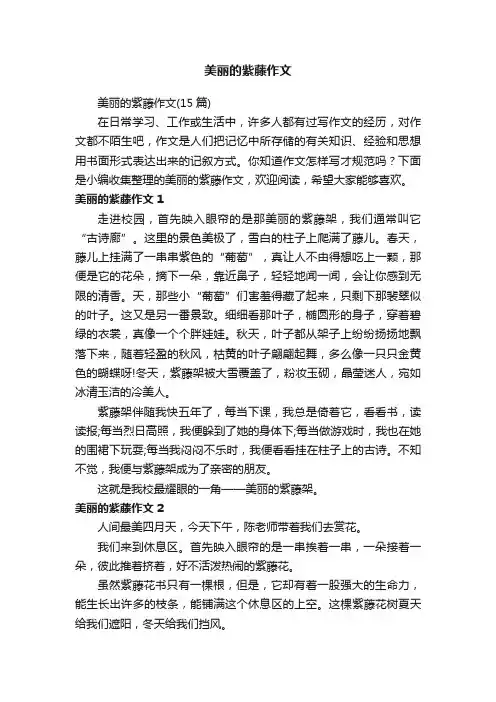 美丽的紫藤作文（15篇）